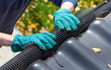 Lionacleit gutter repair companies