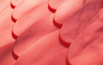 Lionacleit plastic roof costs