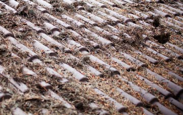 Lionacleit roof cleaning companies