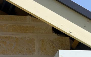 soffit repair Lionacleit