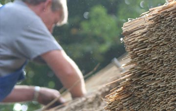 professional Lionacleit thatchers