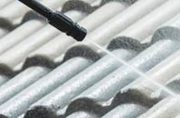 rated Lionacleit roof cleaning companies